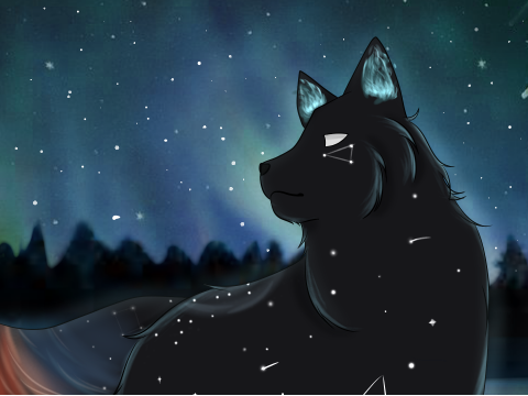 Star Gazer ☆