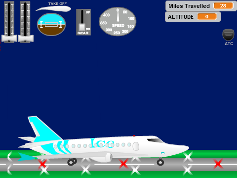 Ice Pet Airlines Private Jet