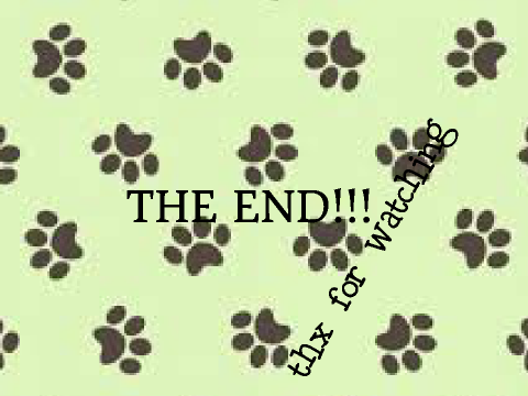 The Dog Show