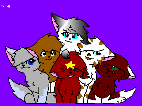 All my Warrior cat OC's together!