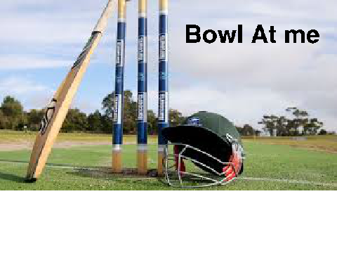 Howzat game