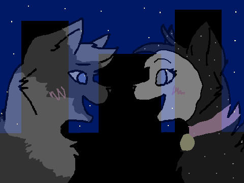 Star's Memories