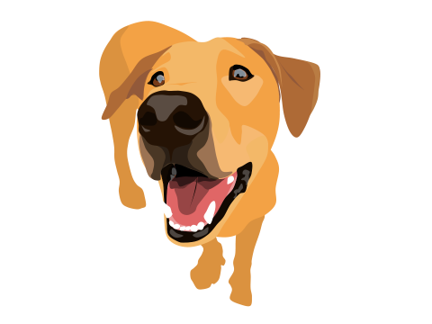 Cheddar Smiling—BLOCKSHADE