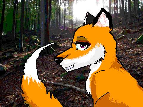 Random Fox Drawing