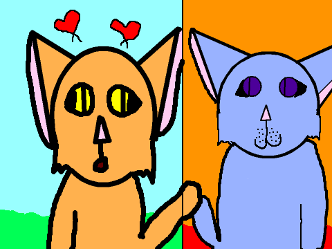 Mirror Image CCE
