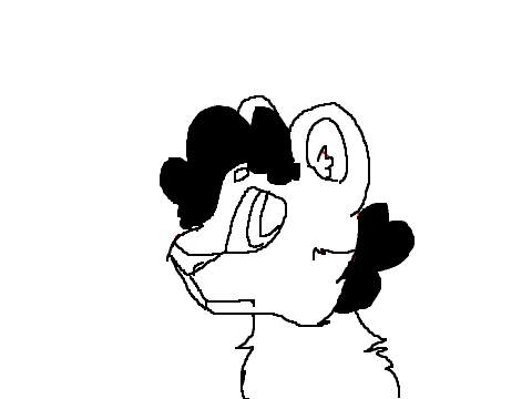 random animation
