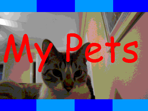 My Pets! :D