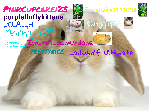 Sign here if you like animals! (remix) remix