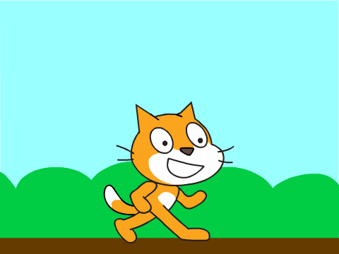 Flip Cat