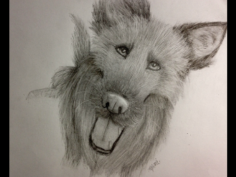 Doggie!
