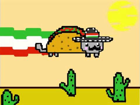 Raining Tacos Overlay