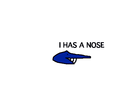 I HAS NOSE