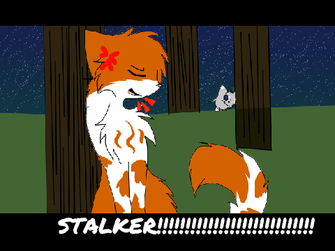 STALKER! Son and Father (50+) Gift 1