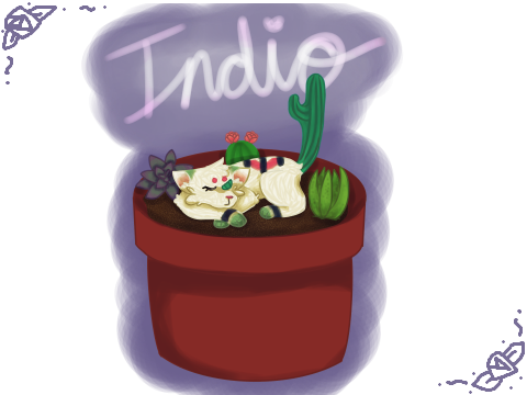 = indio - dtae =