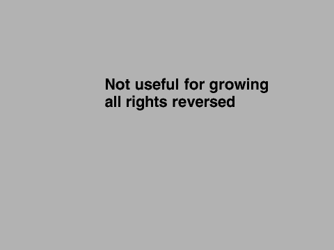 grape pumkin commicial