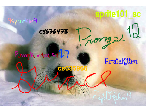 Remix this if you think this seal is cute! remix remix remix remix remix remix remix remix remix