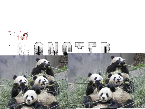 The Monster with pandas