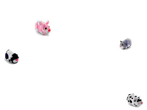 Zhu_Zhu_Pets_Scratch_2.0