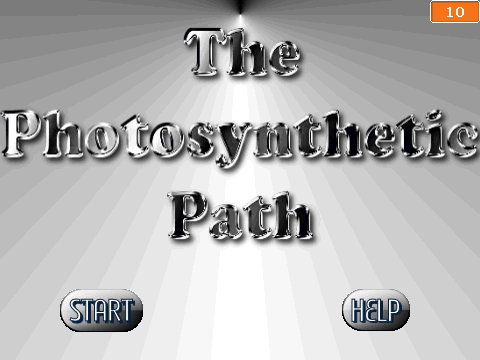 The Photosynthetic Path