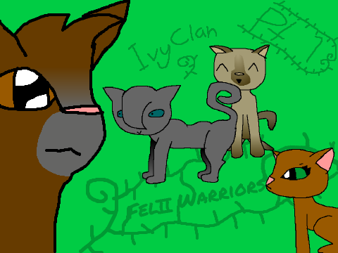 Felii Warriors: The Apprentice's Journey- Pt 1