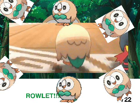 Rowlet!!!!!!!!!!!!!!!!!!!!!!!!!!!!!!!!!!!!!!!!!!!!!!