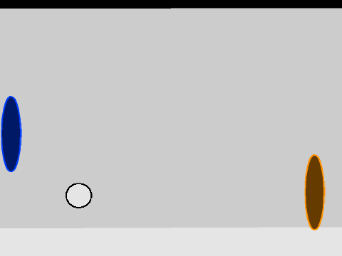 Portal Pong