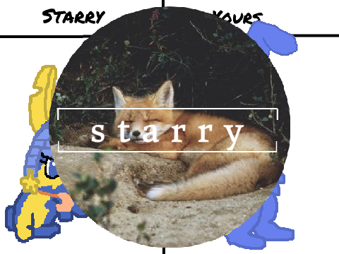 ♡ s t a r r y 