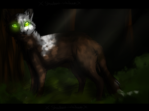 :CCE: Beauty in the forest~