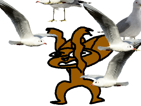 { + SEAGULLS + } ( remixed meme) COLOR VERSION