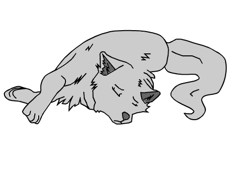 Another Wolf