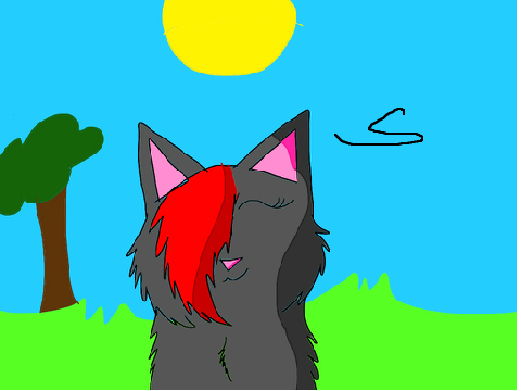 How to draw a Warrior Cat