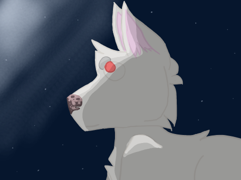 Orion