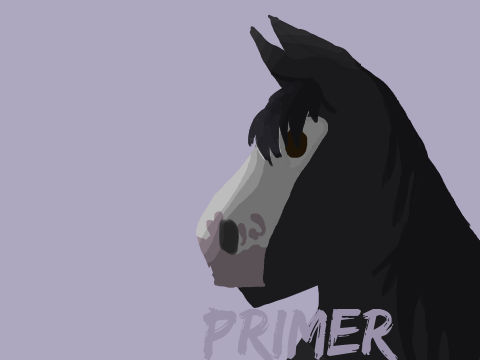 Primer