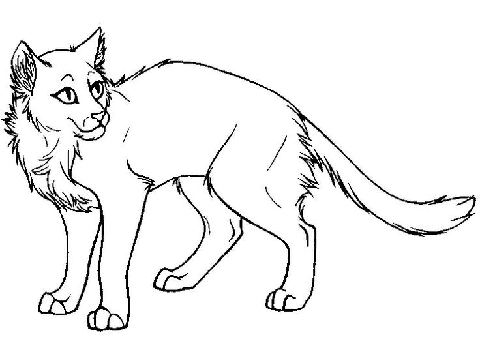 Fallclan and springclan form 