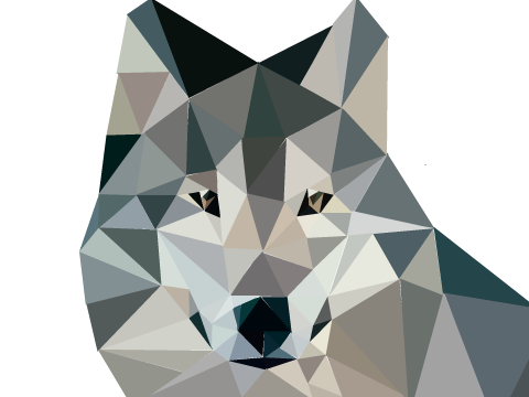 PolyArt Wolf Speed-Draw