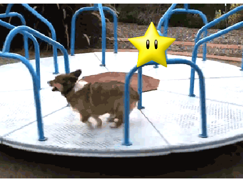 When You Collect a Mario Star...