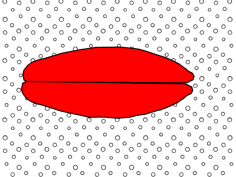 Lips