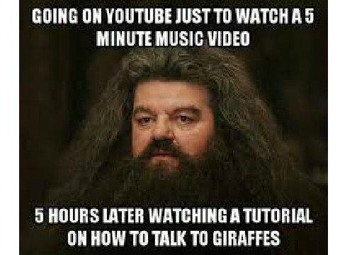 Down the YouTube Wormhole