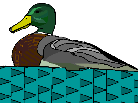 duck speed-draw