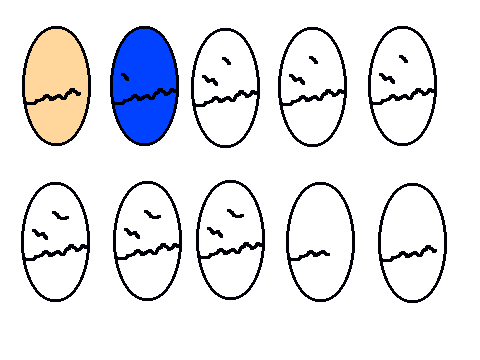 Remix and add yourself hatching from an egg