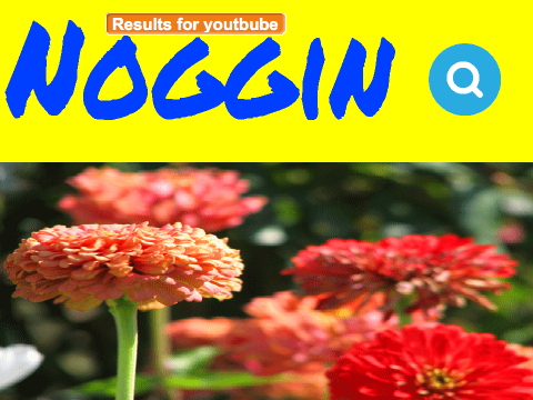 Noggin Search
