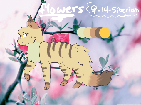 ✿ Flowers REF Sheet ✿