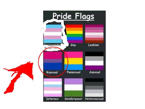 What LGBTQ+ Am I? remix