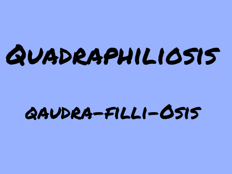 Quadraphiliosis. Invertabrae project