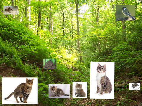 Warrior Cats Adventure Game