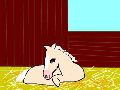 EA sleeping foal