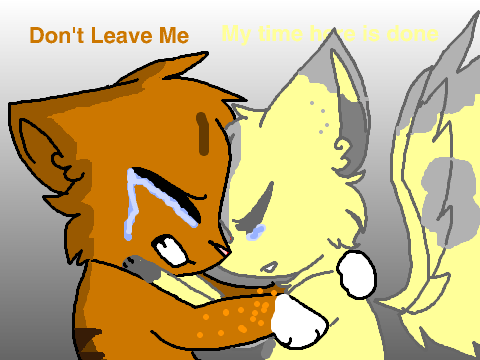 StarClan takes another warrior tonight. (When a Heart Falls remix :)