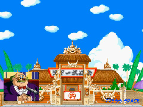 Dragon Ball Z Shogun