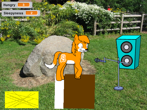 Pony Pet