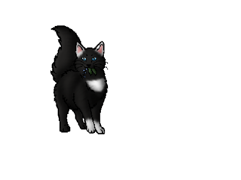 My Oceanclan Cat, Clouddapple
